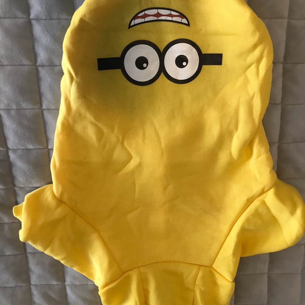 Dog hoodie